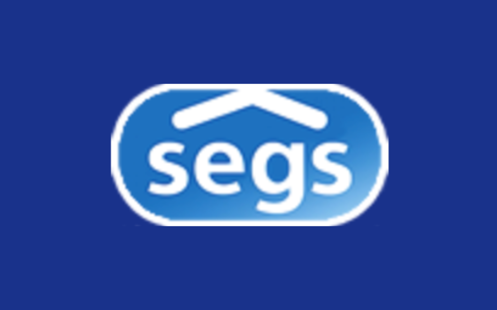 SEGS sobre a Alpha Assessoria