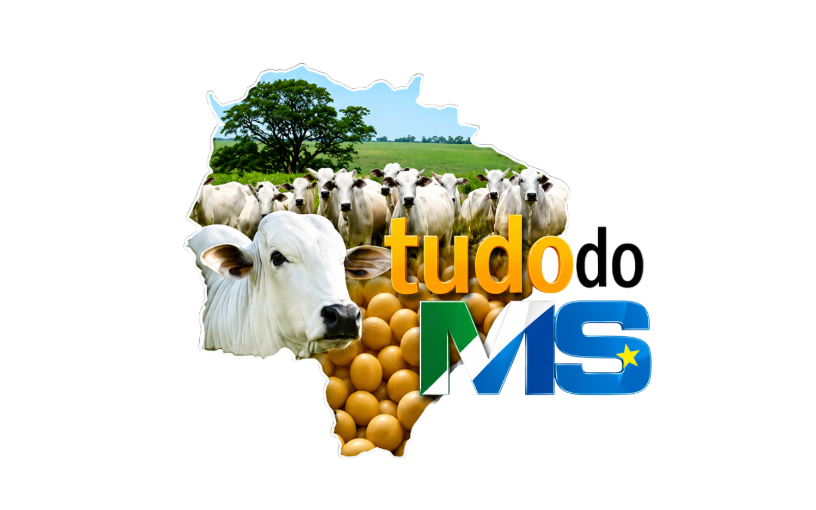 Tudo do MS sobre a Alpha Assessoria